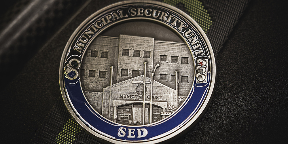 Government Challenge Coins